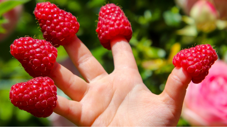 Junior Hit Junior Hit